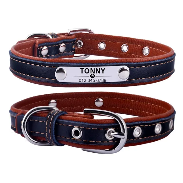 Adjustable Custom Engraved Leather Dog Collar - XS-L