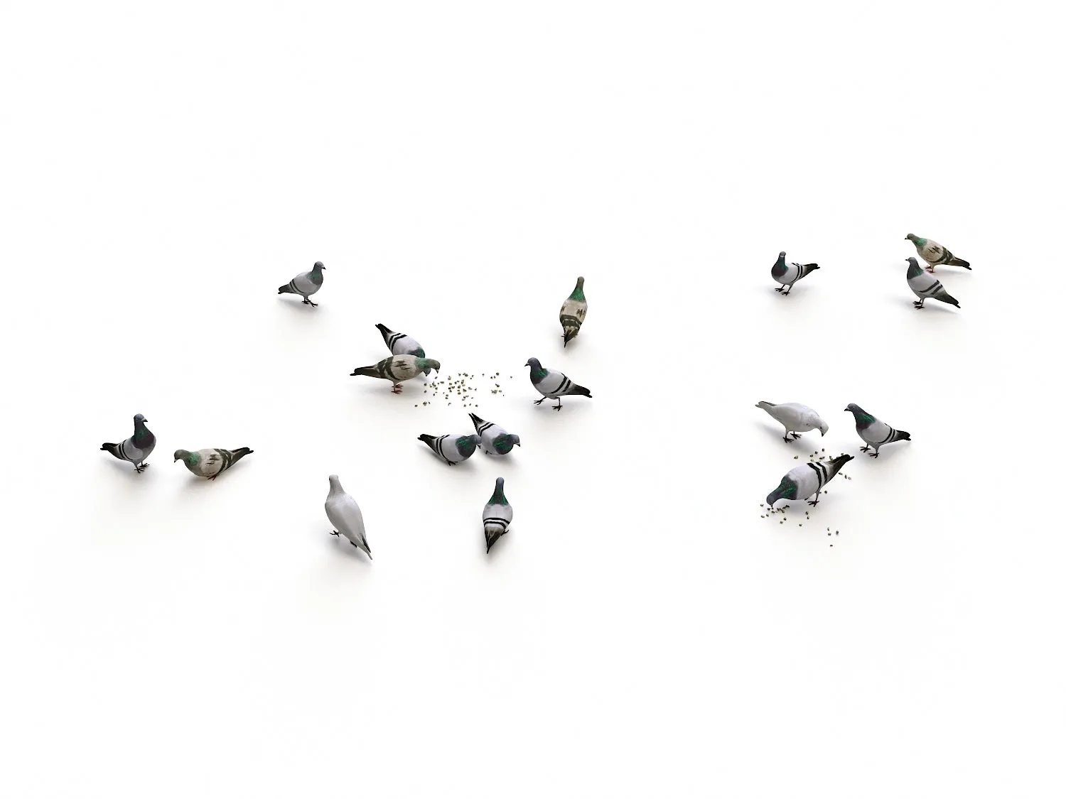 Ground Pigeons Set
